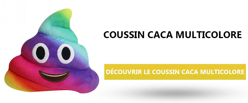 Coussin Caca Multicolore