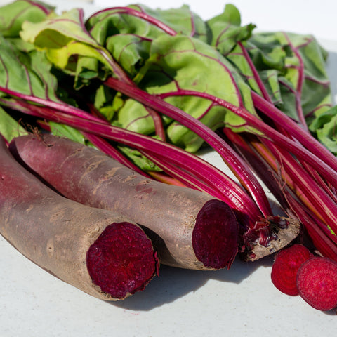 Cylindra beets grown from seed resting on a white background.