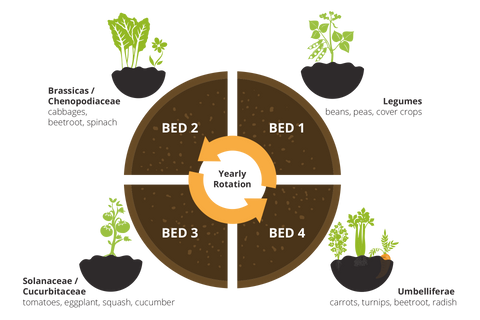 Crop Rotation