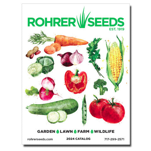 Rohrer Seeds best quality seeds, seed catalog of 2024