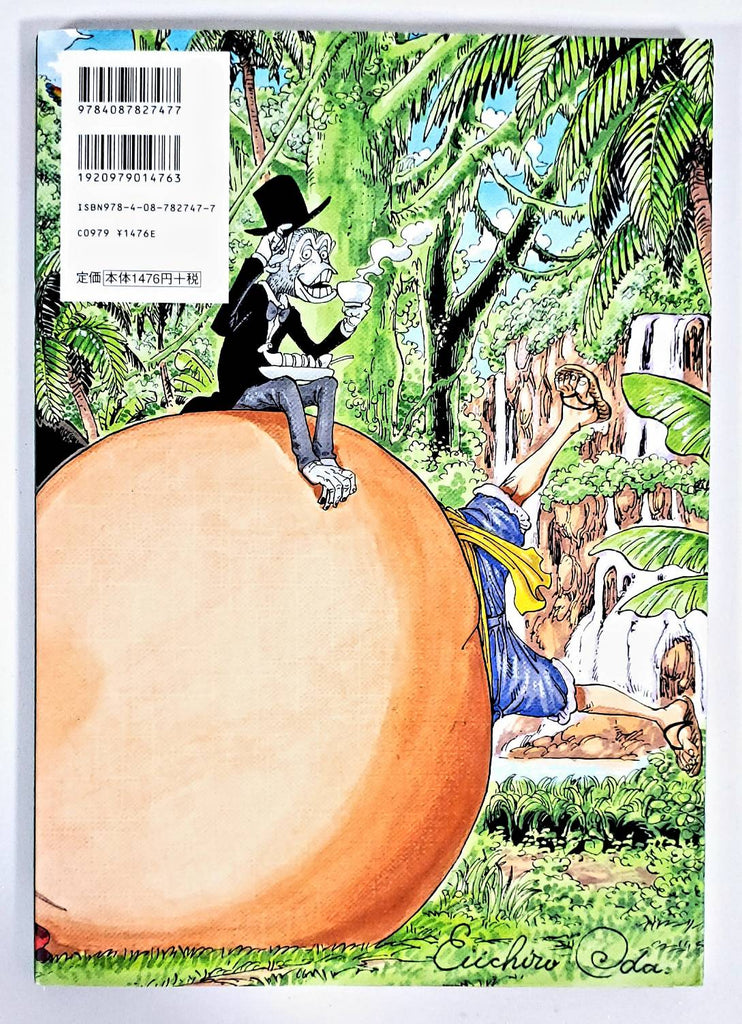 Book One Piece Color Walk 6 Gorilla Poster Japan Deal World