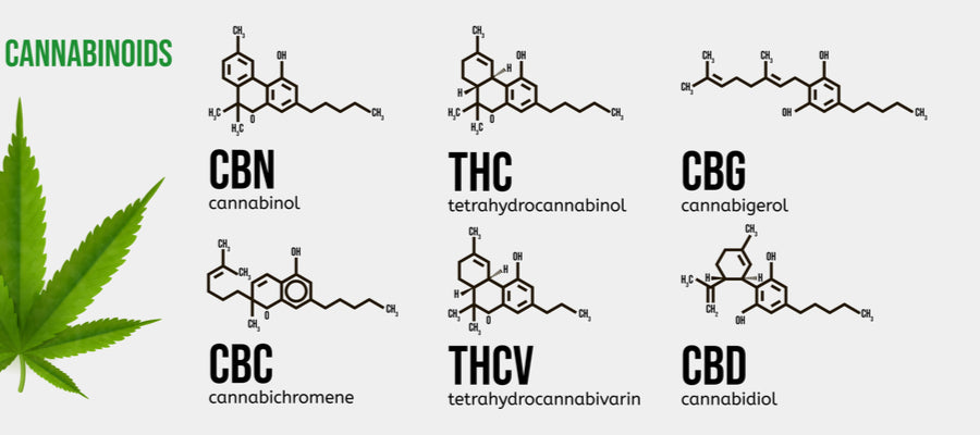 cannabinoids in hemp