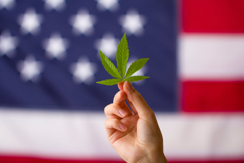 cannabis leaf and American flag