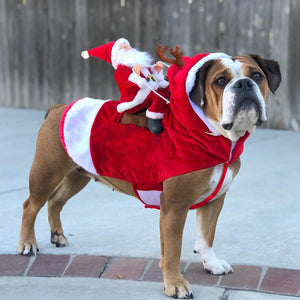 Christmas Dog Clothes Santa Dog Costumes for Small Medium Large Dogs Santa Claus Dog Costume