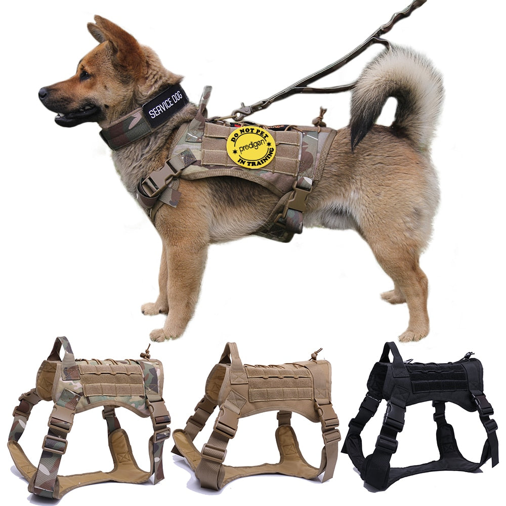 tactical dog shoes