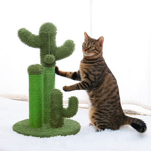 Cactus Cat Tree Scratching Post with Ball Scratcher Posts for Cats Kitten Climbing Tree Cat Toy