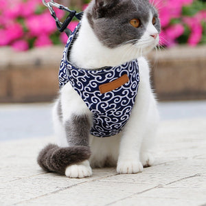 Pet Dog Cat Vest Harness Leash Set Color Pattern Walking Harnesses Leash
