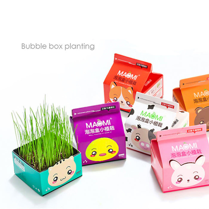 Kawaii  Japanese Korean Mini bubble box indoor desktop small potted ornaments/radiation-proof grass planting