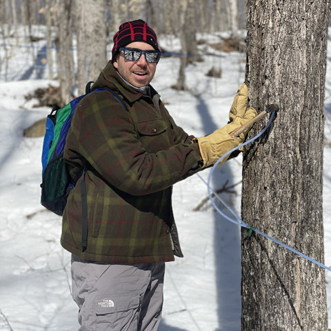 Jim tapping maple trees to produce real maple syrup.