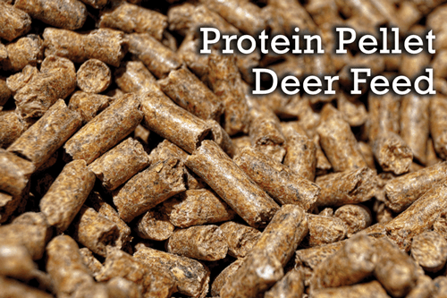 feedy greedy deer food