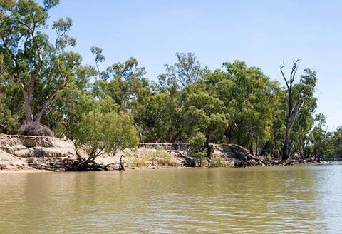 Healthy Crops and Cleaner Rivers