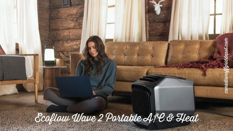 Ecoflow Wave 2 portable a/c and heat for your off-grid cabin or cottage