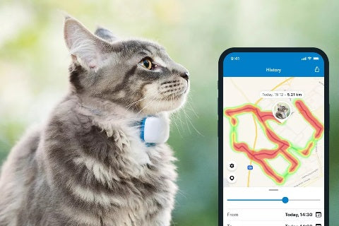 Tractive Traceur GPS chat et collier pour chat – localisation et