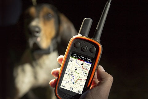 Colliers GPS Garmin : collier de repérage Garmin pour petit chien de chasse  - Morin accessoires, laisses, harnais pour chiens