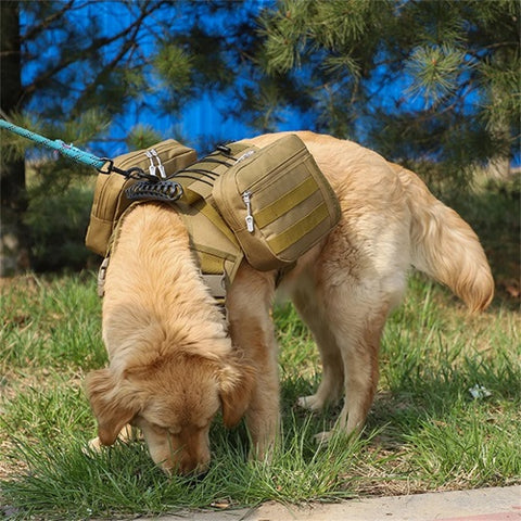 Harnais chien randonnée - brun - golden