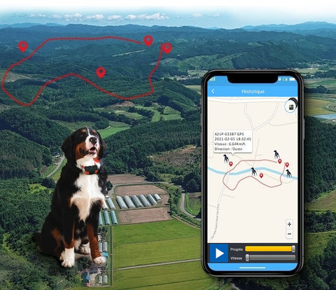 Traceur GPS Chien,Anti Perdu Collier GPS Chats Localisateur avec Alarme  pour Animaux domestiques Chien véhicules Enfants âgées Mini SOS Outdoor