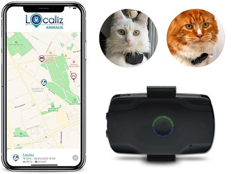 Collier GPS pour chat LOOKAT®, Sans abonnement