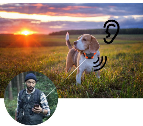 Collier GPS chien TRACKSOON® T920A interphone vocal