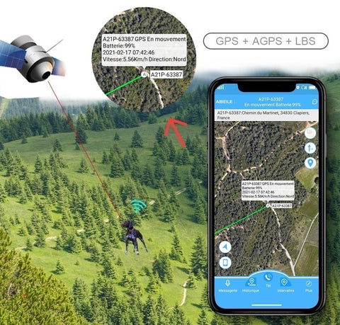 Collier GPS pour Chien sans Abonnement Étanche IP67 Traceur GPS Chien avec  Alarme Sonore et Lumineuse pour Trouver des Animaux Données de Mouvement