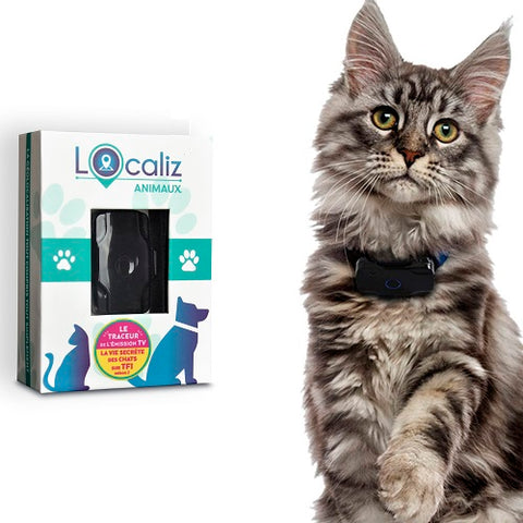 Traceur GPS pour Chat – Animal Saveur