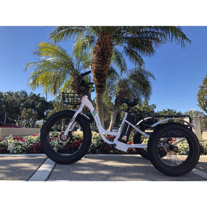 emojo caddy electric trike 48v 500w