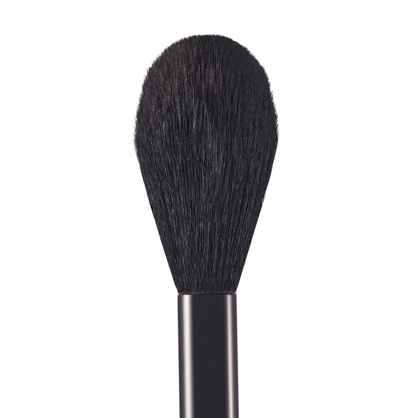 BRUSH PD3 POWDER