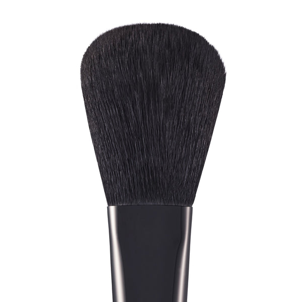 POWDER BRUSH PD3