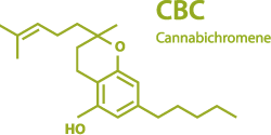 Full Spectrum CBC