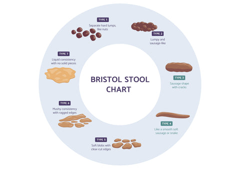 The Bristol Stool Scale: Understanding the Impact of Diet and Lifestyl ...