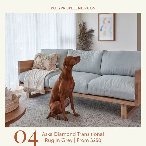 pet friendly grey transitional rug