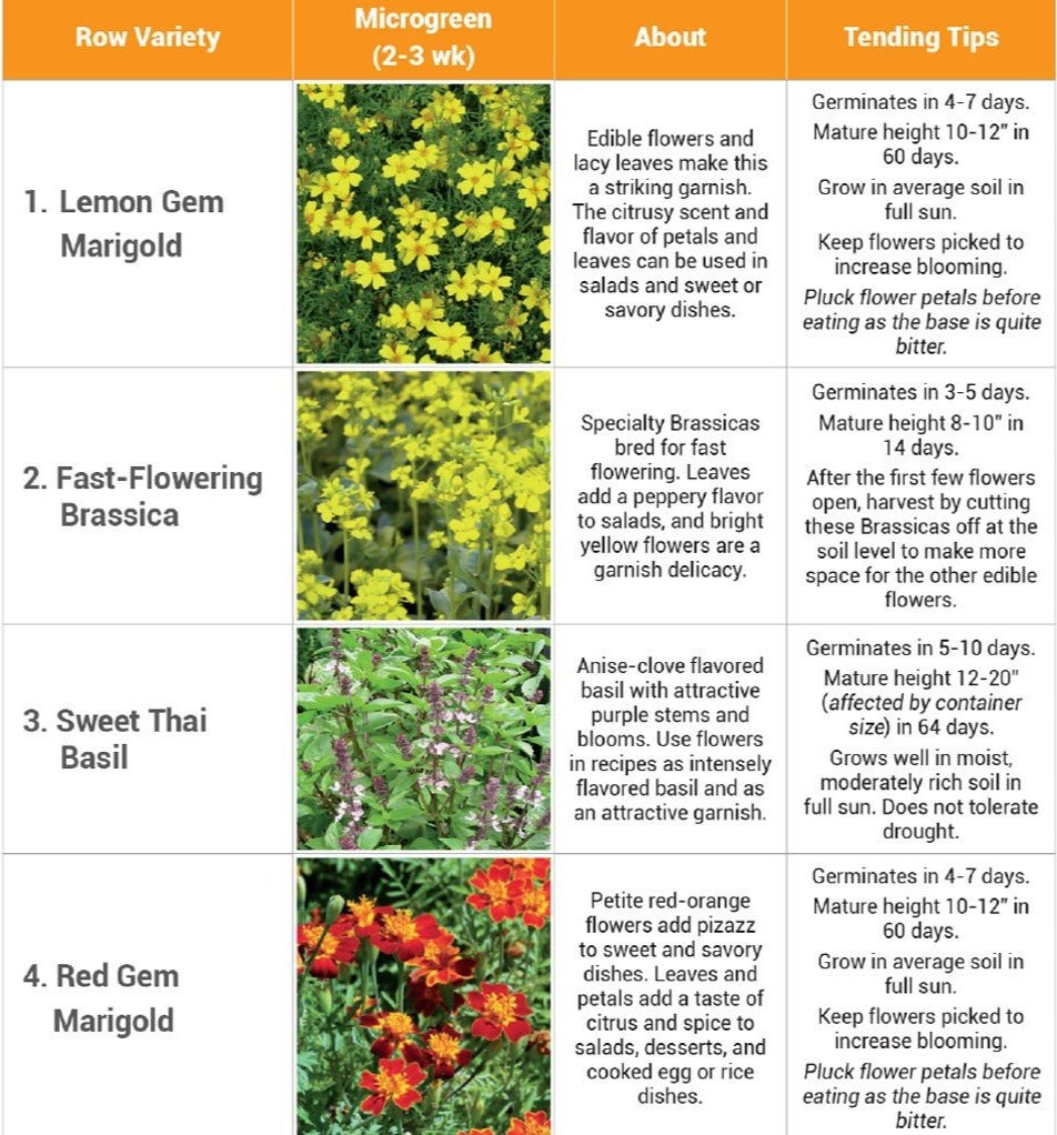 Edible Flower Seed Mat Led Habitats