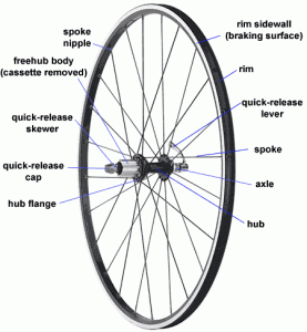 wheel