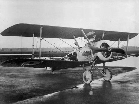 A Sopwtih Camel f.1 World War I fighter aircraft similar to the one flown by Lt. JG Ingalls