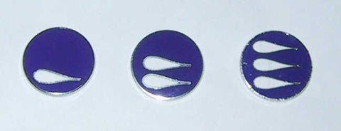 The "Lennies" awarded to glider pilots who "ride the waves"