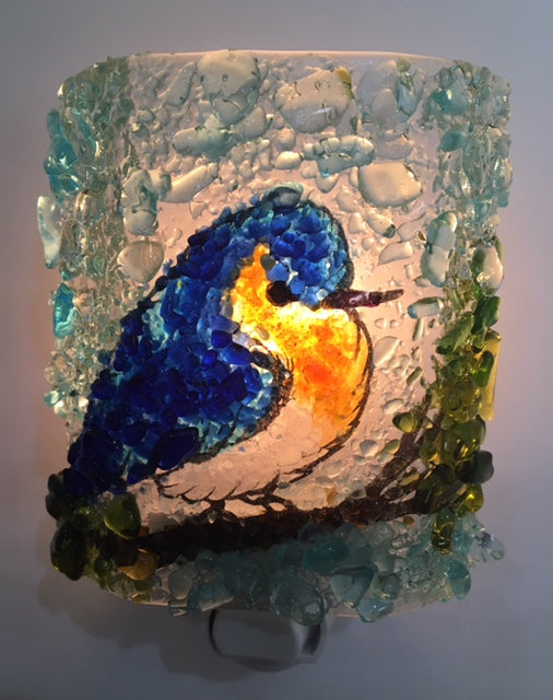 bluebird nightlight