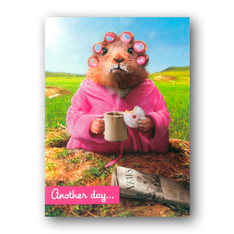 Funny Guinea Pig Eating A Doughnut Birthday Greetings Card By Avanti Dormouse Cards