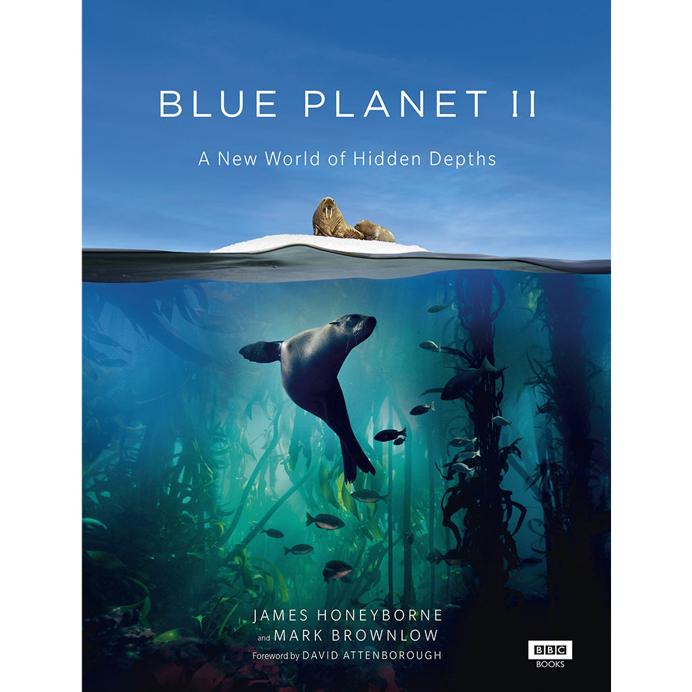 blue planet 2 streaming