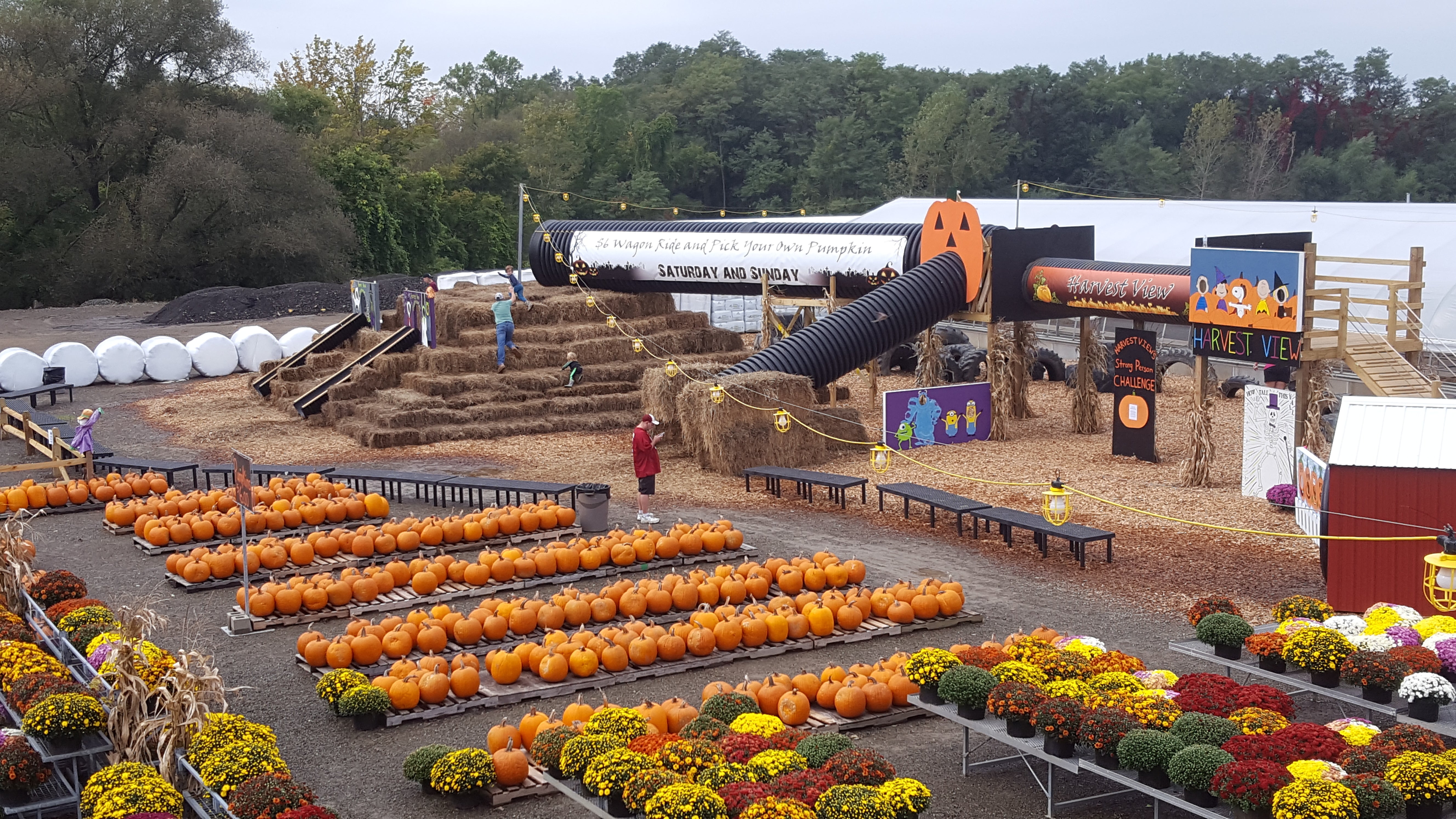 Harvest View Greenhouses