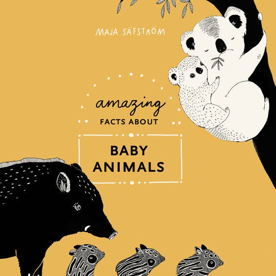 Amazing Facts About Baby Animals