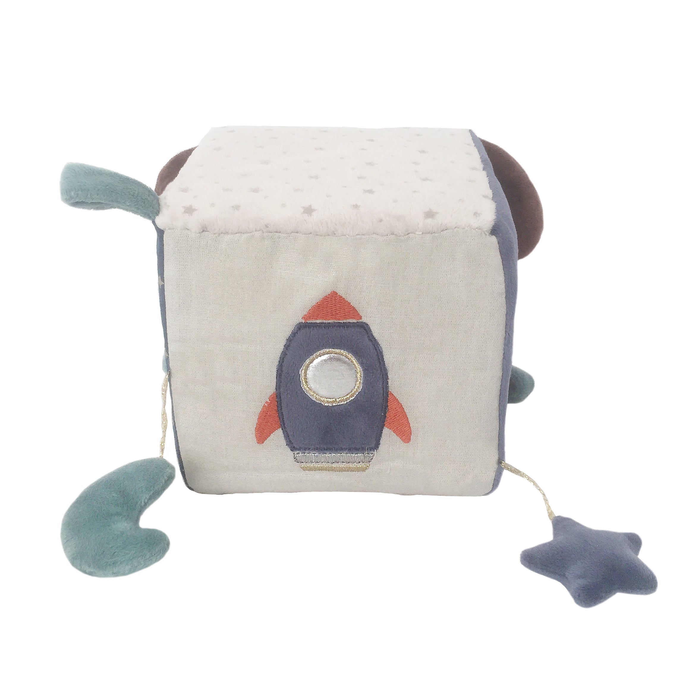 'Astro' Dog Activity Cube