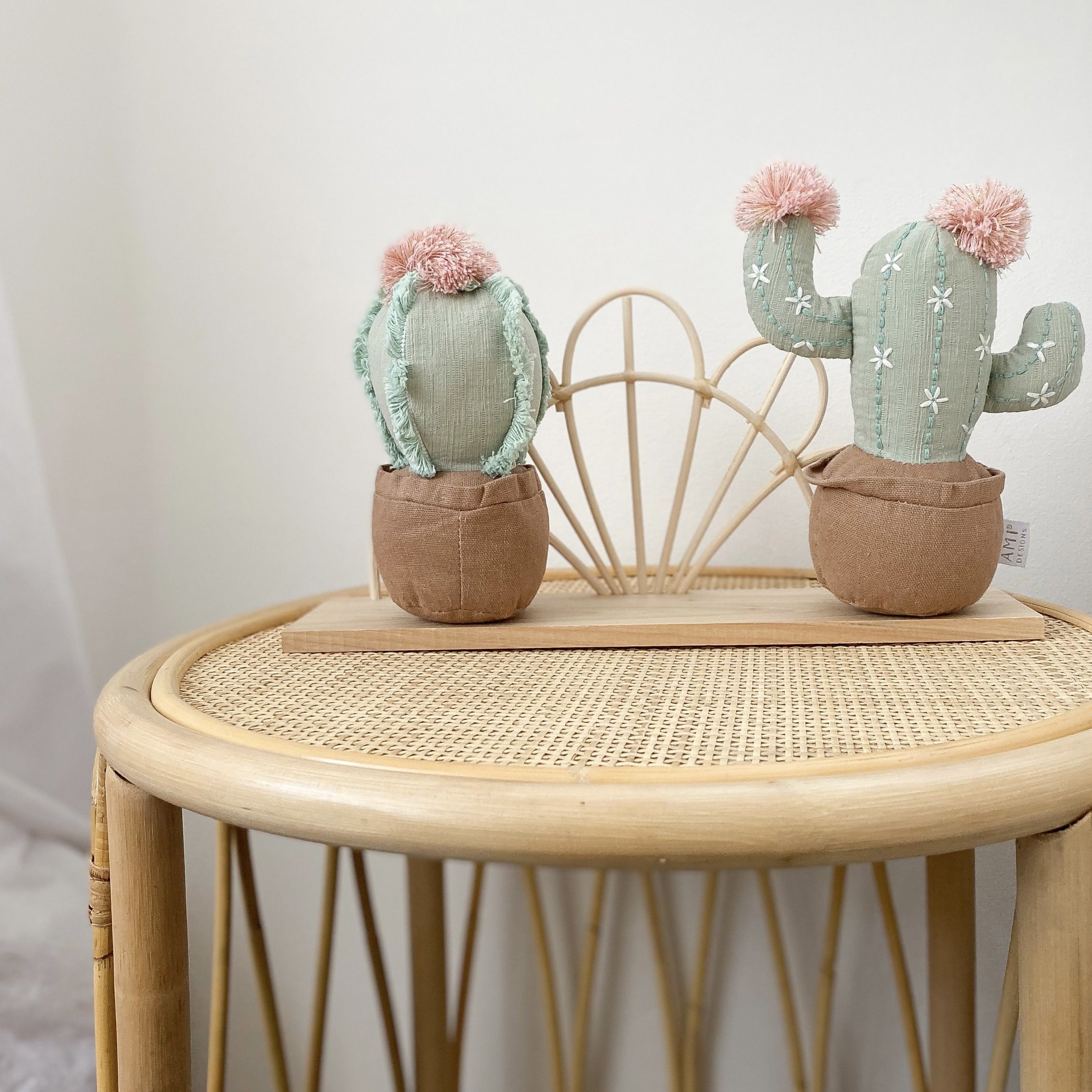 Cactus Pot Shelf Sitter