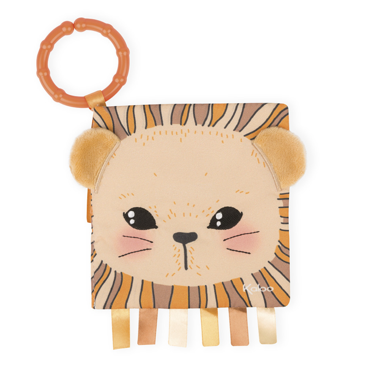 Activity Book - The Curious Lion