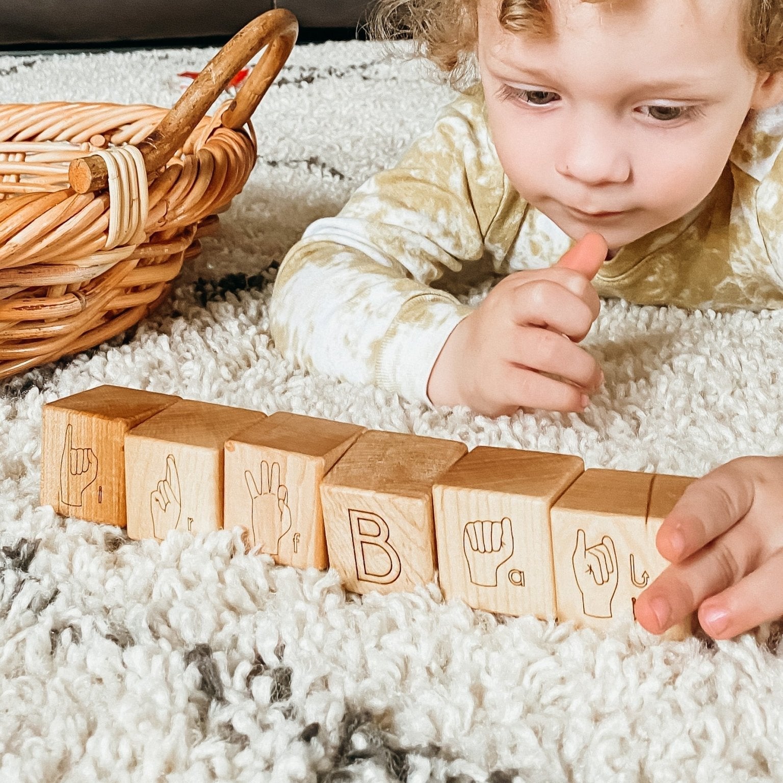 American Sign Language ABC Blocks