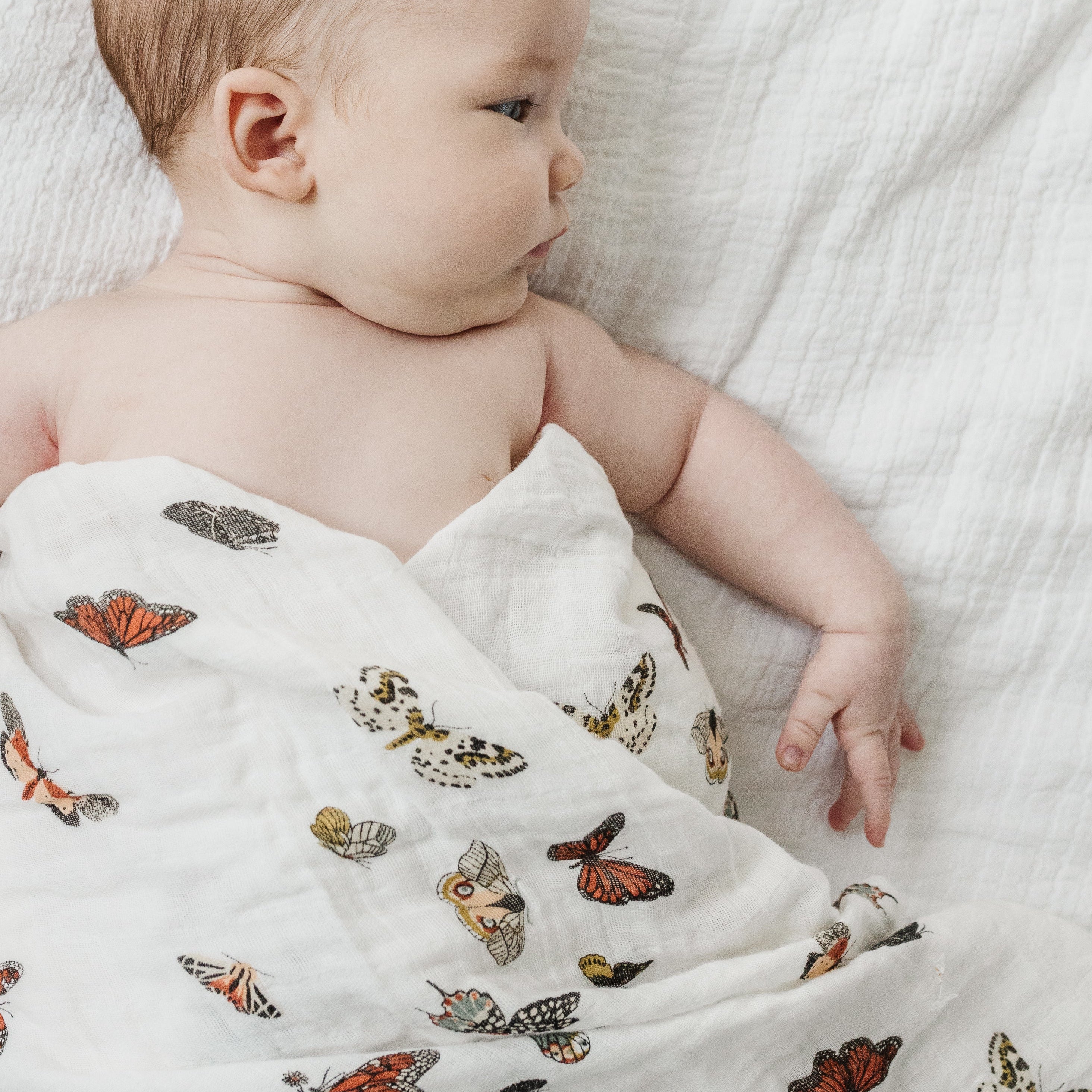 Butterfly Migration Swaddle