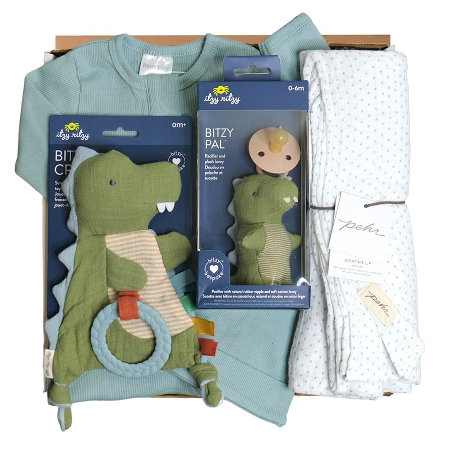 Animal Adventure Gift Box - Dino