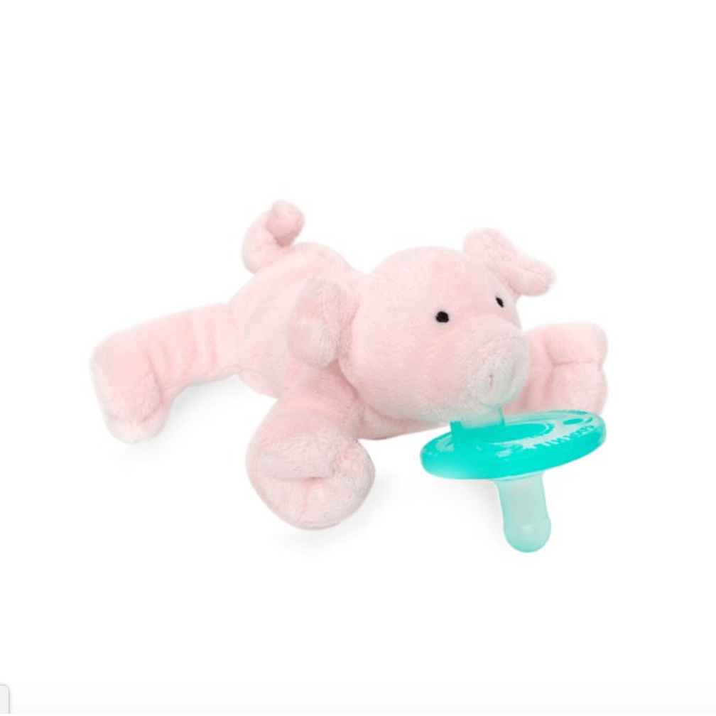 Baby Piglet Pacifier