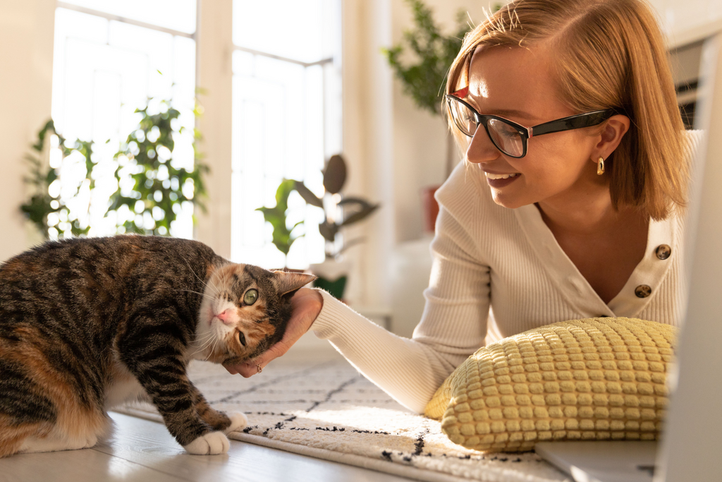 10 Ways To Show Your Cat Some Love This Valentine’s Day