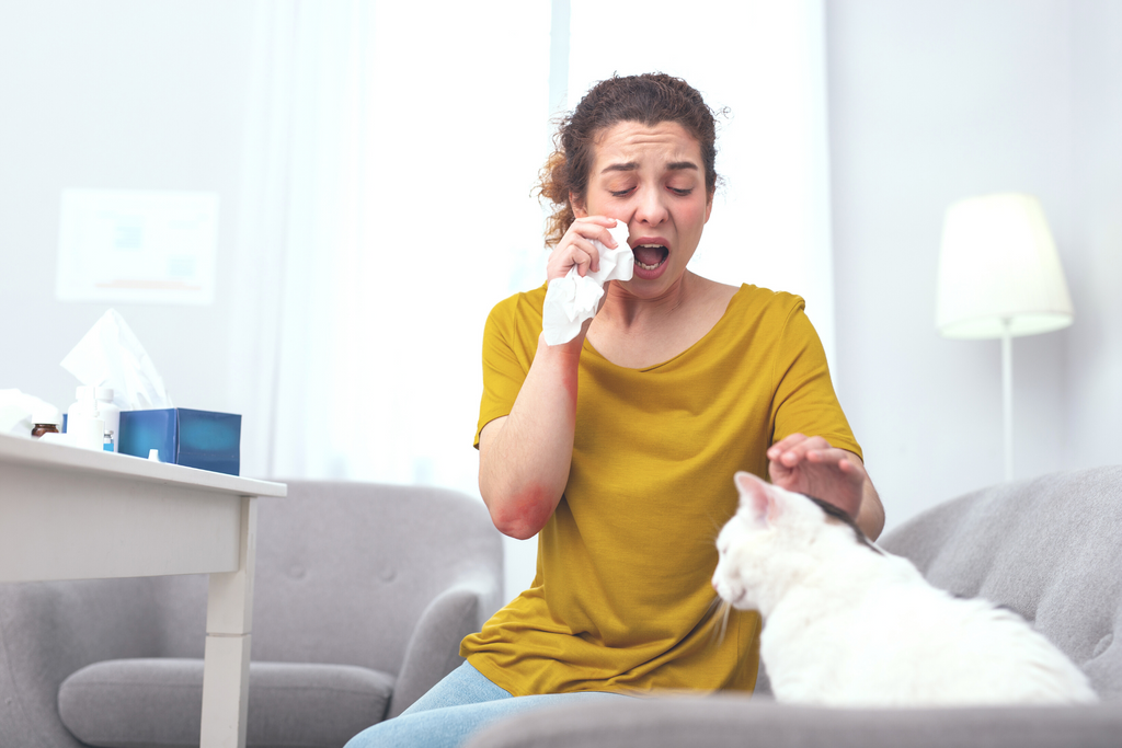 Woman in a yellow top sitting on her couch sneezing with a tissue while petting her white cat, she is allergic to the cat