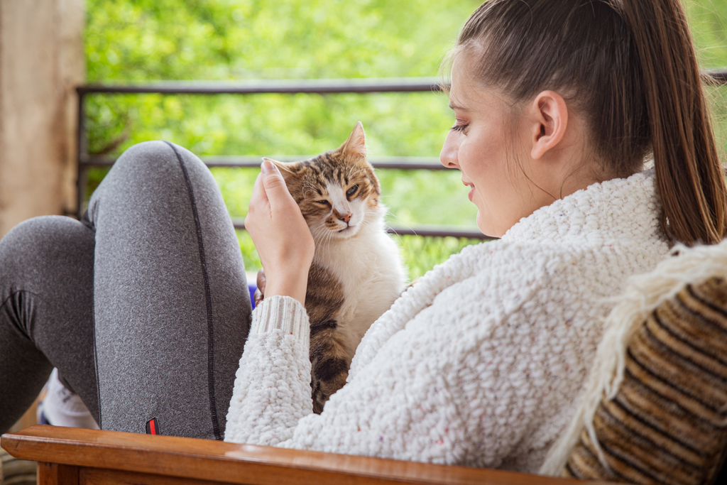 Adult woman playing with her cat to establish positive non biting behaviors and training