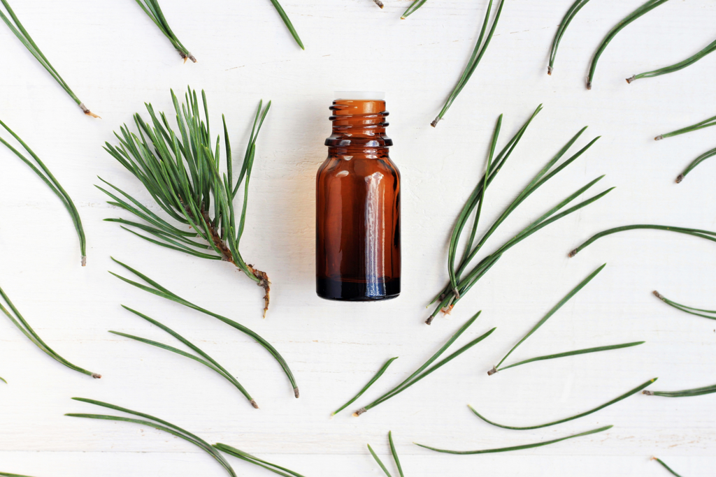 Pine needles with a small glass bottle in the center, cats dislike the scent of pine 